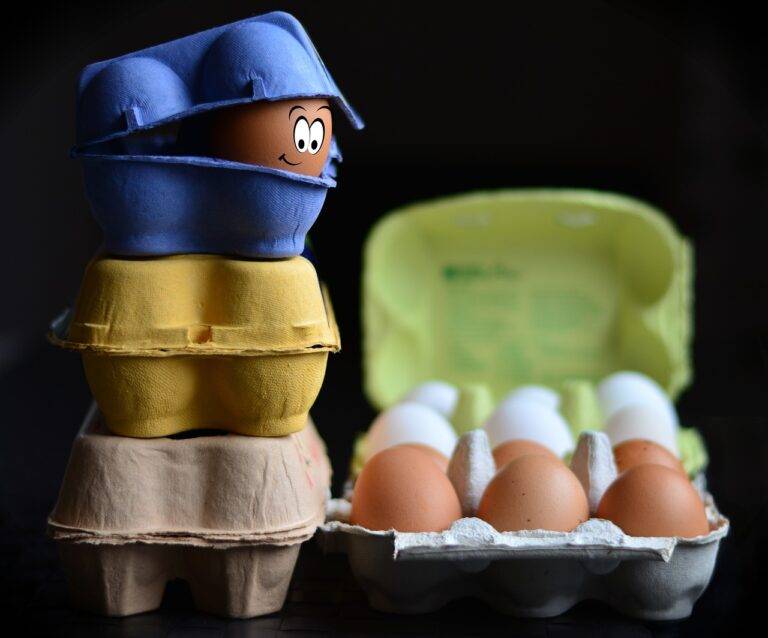 The Importance of Food Education in Society